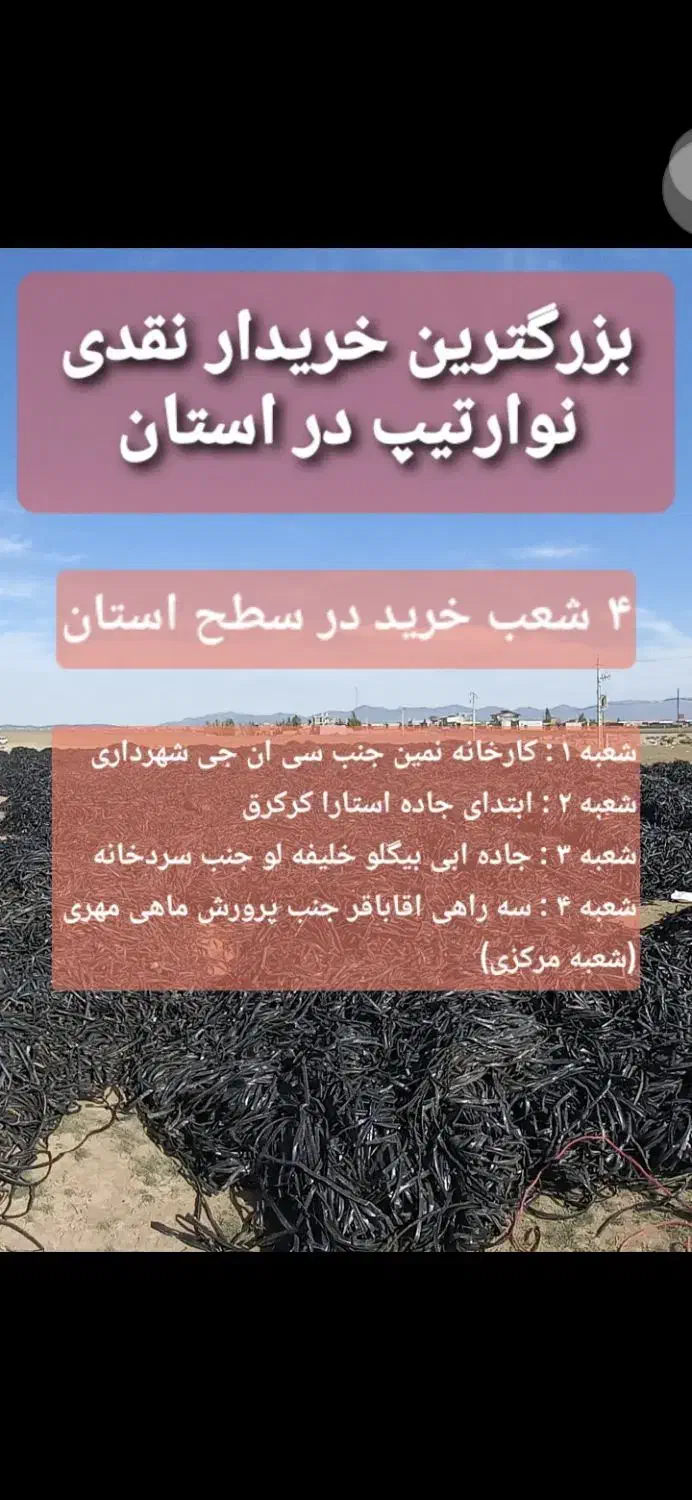 خریدار نوار تیپ مستقیم کارخانه|خدمات باغبانی و درختکاری|اردبیل, |دیوار