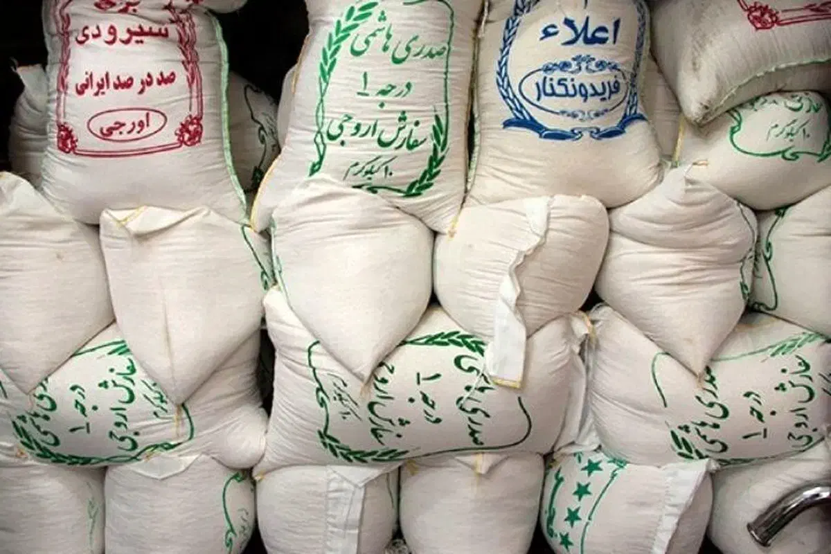 برنج شمالی نقدی و چکی|خوردنی و آشامیدنی|اصفهان, باغ زیار|دیوار