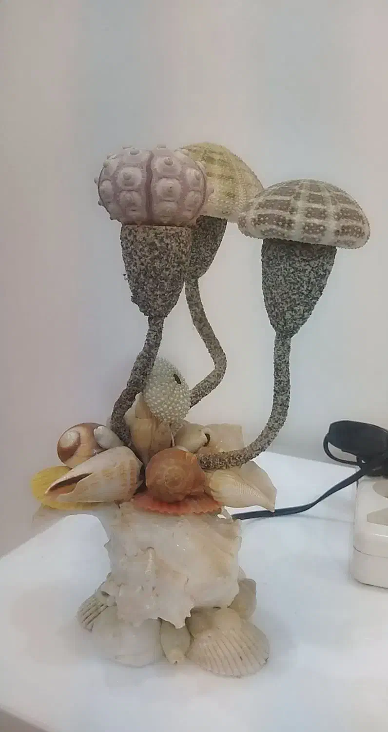 آباژورصدفی|چراغ خواب و آباژور|دورود, |دیوار