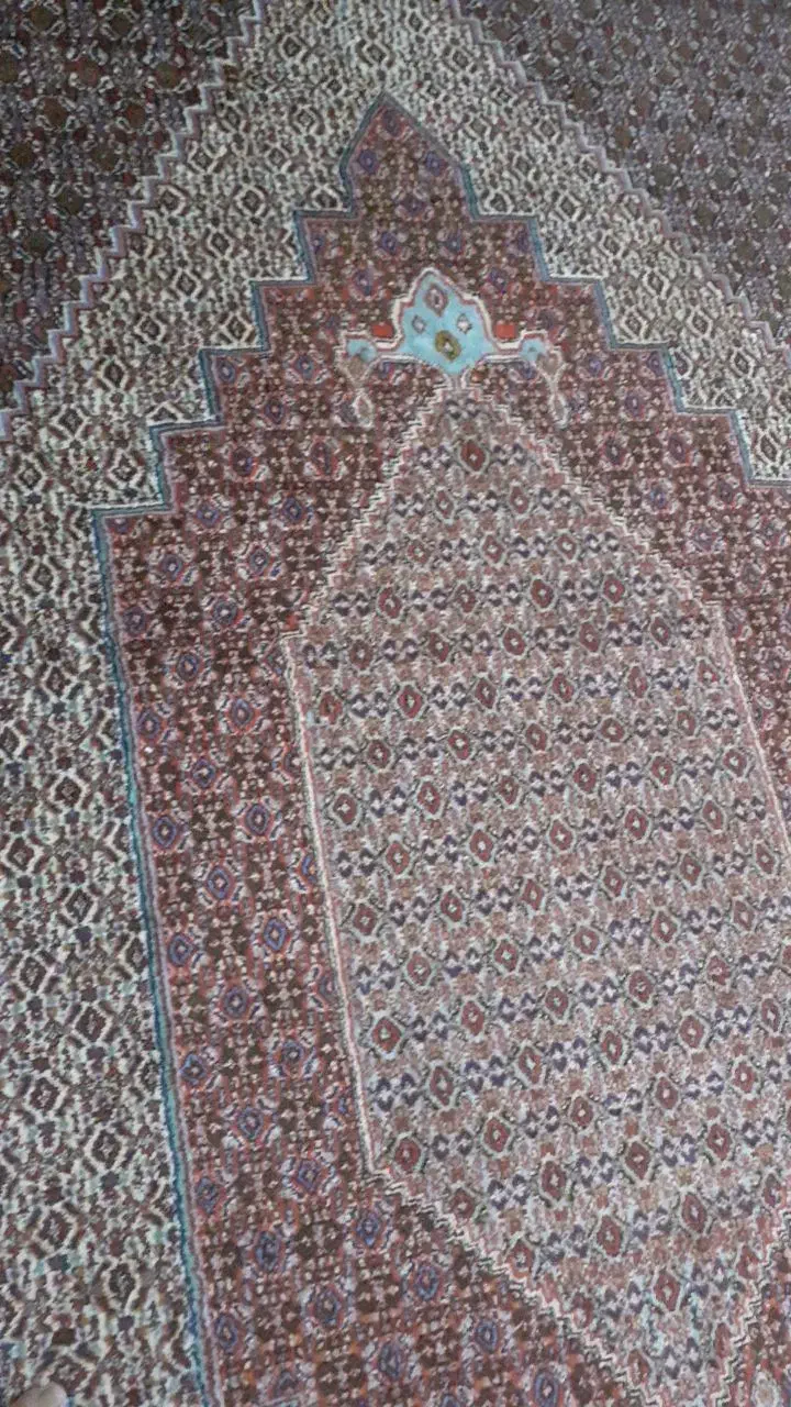 فرش ۶ متری دستباف اصل سنندج|فرش|پرند, فاز ۶|دیوار