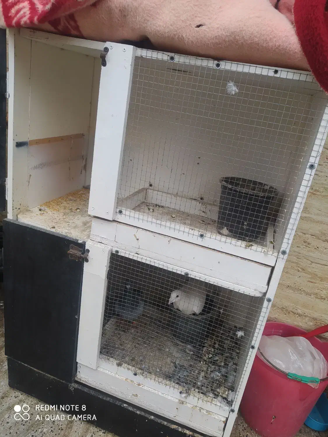 قفس|لوازم جانبی حیوانات|طبس, |دیوار