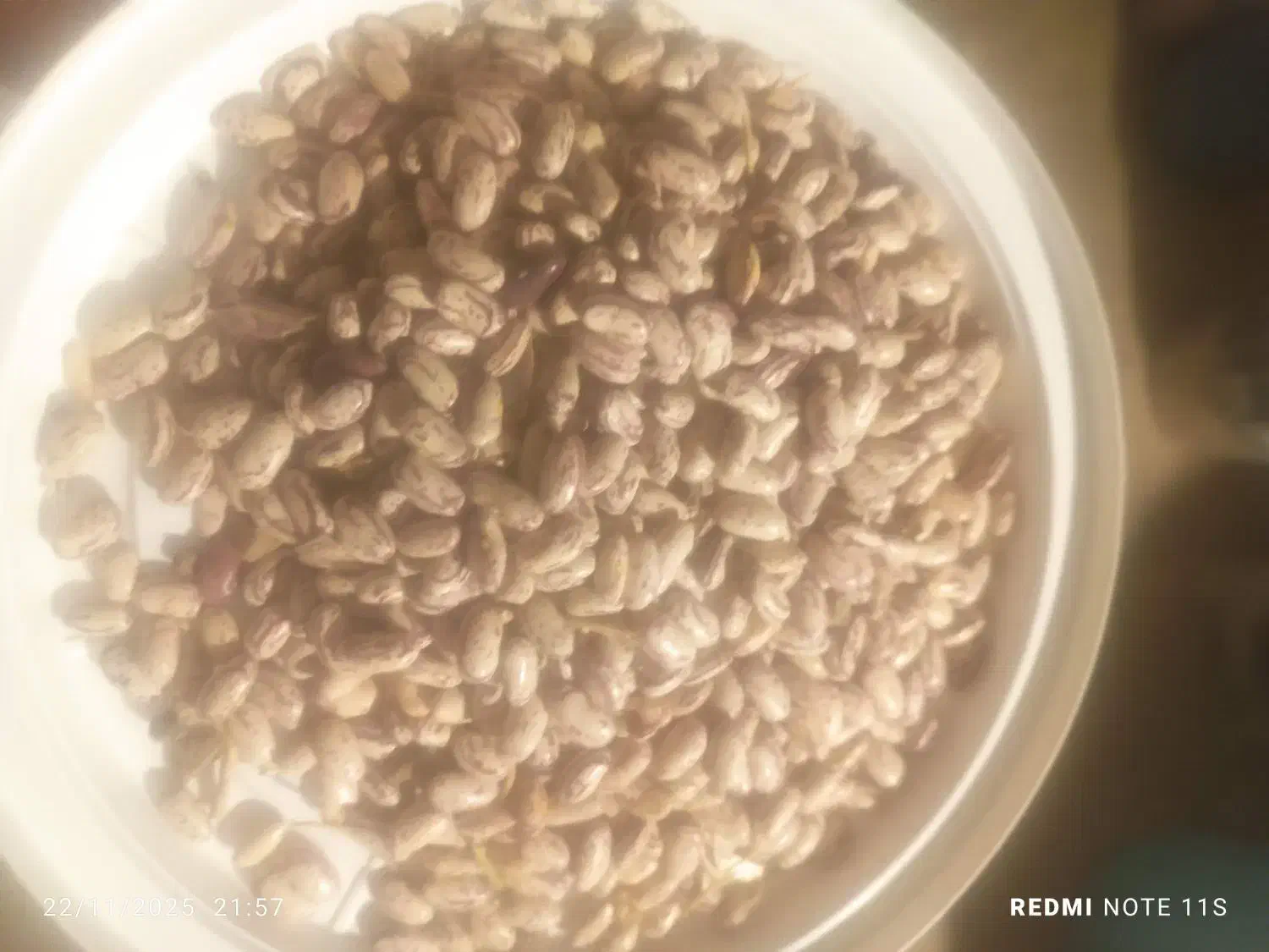 فروش|حراج|بلبان آباد, |دیوار