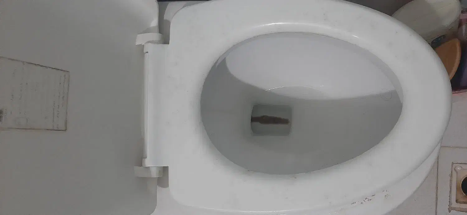 توالت فرنگی در حد نو|لوازم سرویس بهداشتی|اهواز, گلستان|دیوار