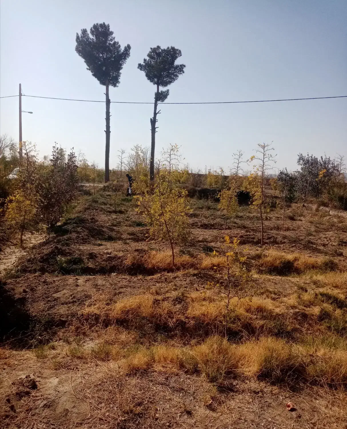 فروش زمین کشاورزی از چاه سنگ نوشته کلاته ملک|فروش زمین و ملک کلنگی|خوسف, |دیوار