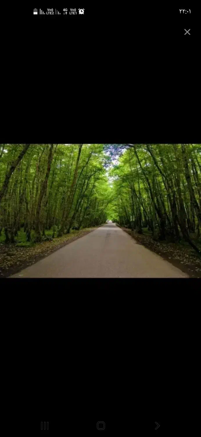 پارتنر گردش وکوهنوردی|فعالیت داوطلبانه تحقیقاتی|آستانه اشرفیه, |دیوار