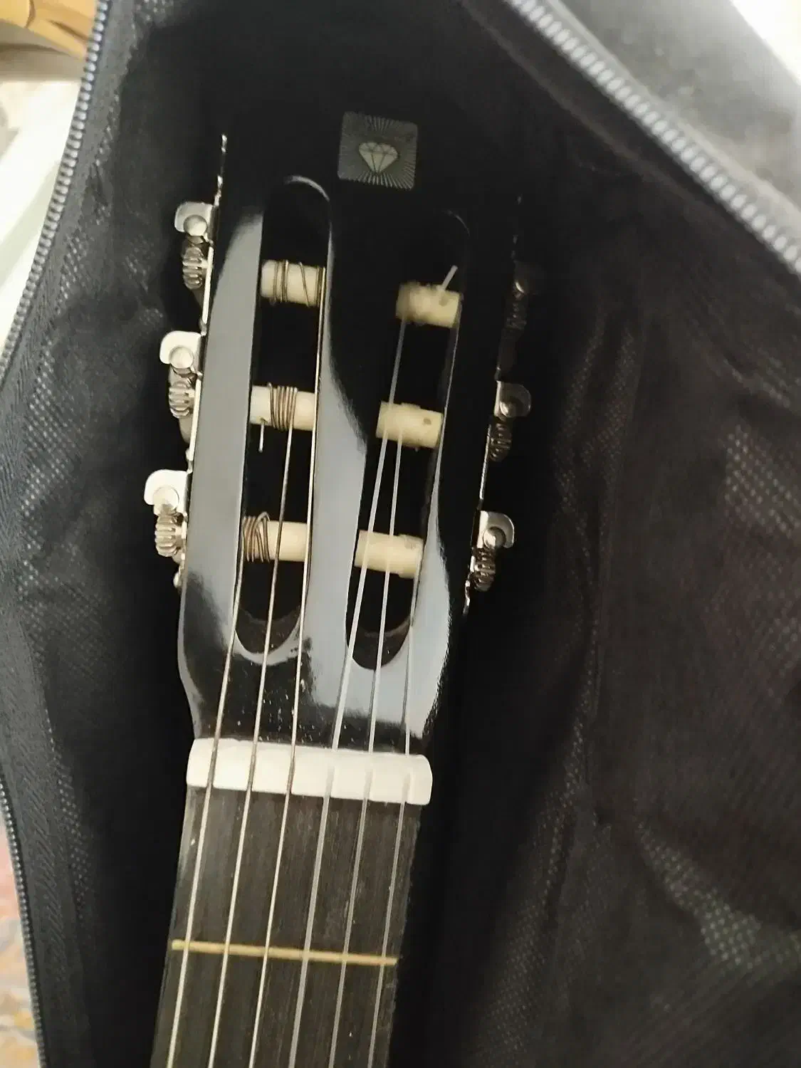 گیتار اموزشی|گیتار، بیس، امپلیفایر|مشهد, محمدآباد|دیوار