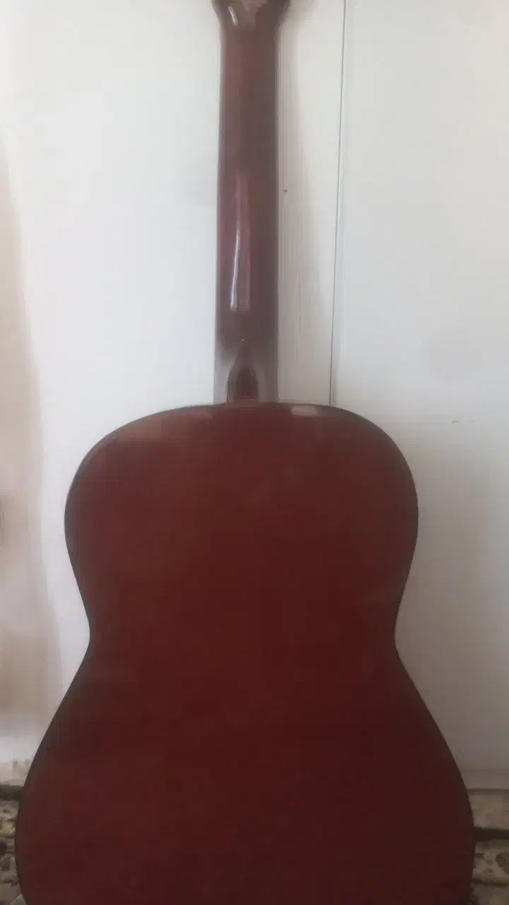 گیتار|گیتار، بیس، امپلیفایر|تربت جام, مطهری|دیوار