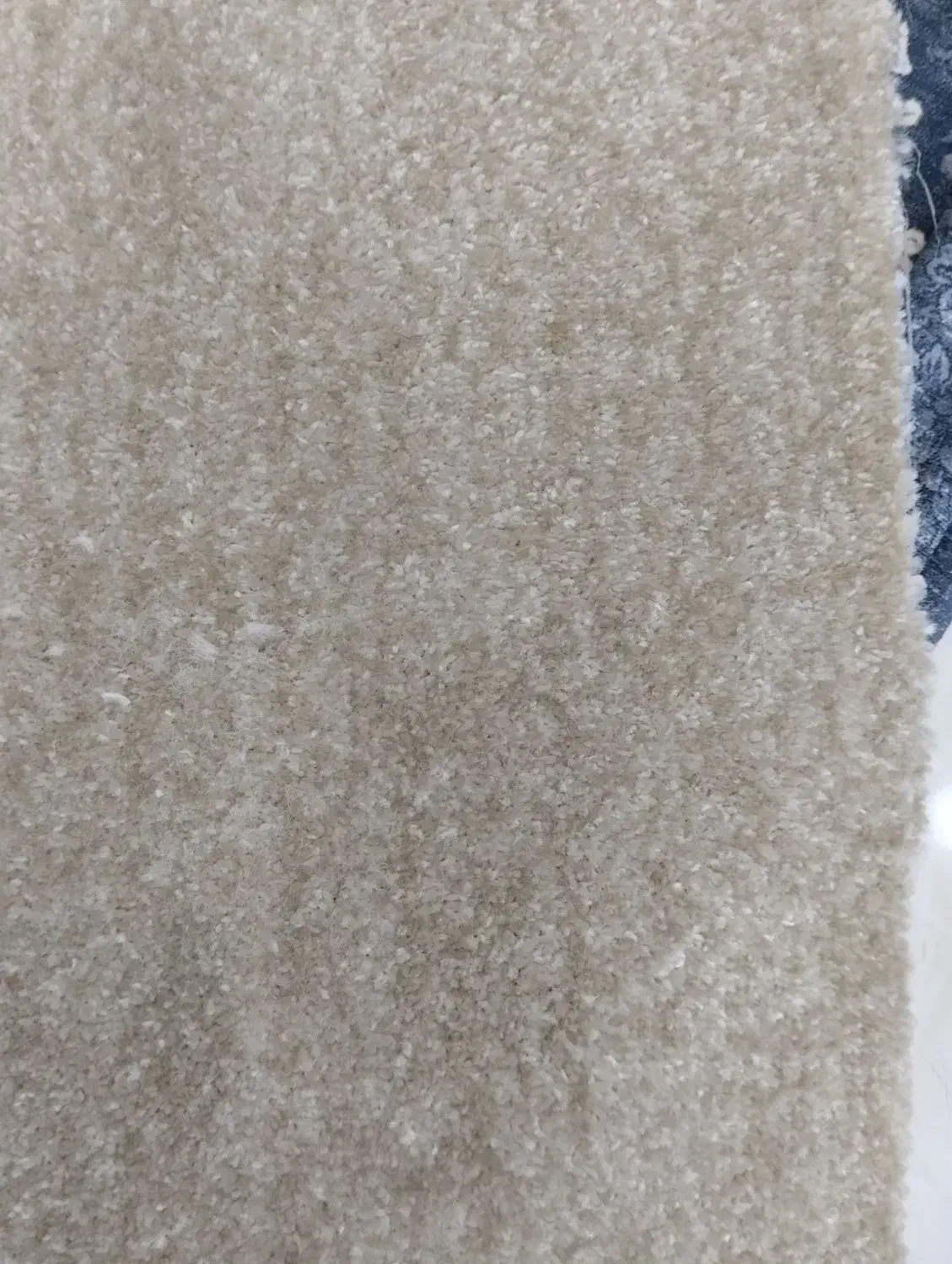 موکت نو|موکت|باقرشهر, |دیوار