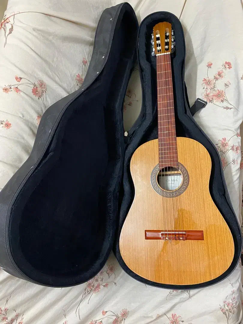 گیتار نورانیا C3 و کاخن هیمه با هارد کیس و پایه|گیتار، بیس، امپلیفایر|اصفهان, مرداویج|دیوار