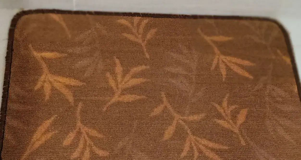 یک جفت پادری|پادری|شاهین‌شهر, شهرک گلدیس|دیوار