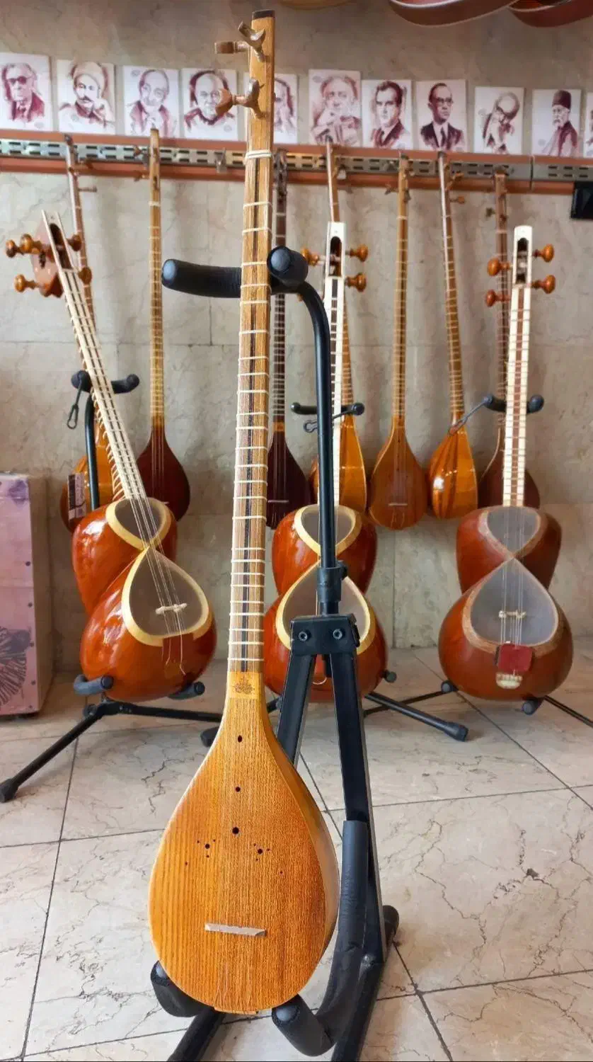 فروش سه تار های حرفه ای /قیمت استثنایی|سازهای سنتی|مشهد, ولیعصر (شهرک غرب)|دیوار