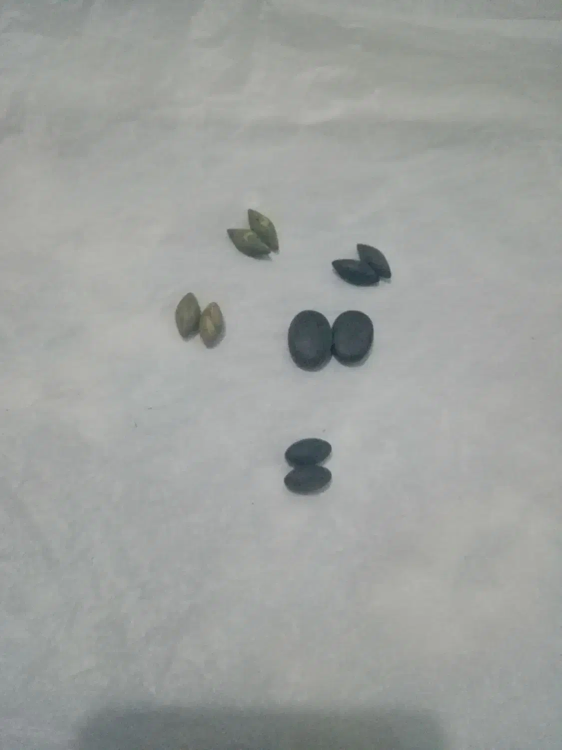 مهره اصلی|جواهرات|یزد, |دیوار