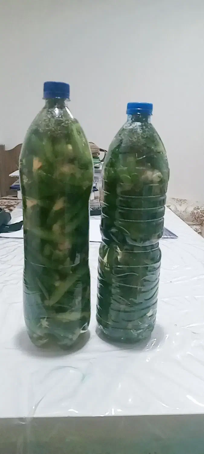 خیارشور|خوردنی و آشامیدنی|سوق, |دیوار