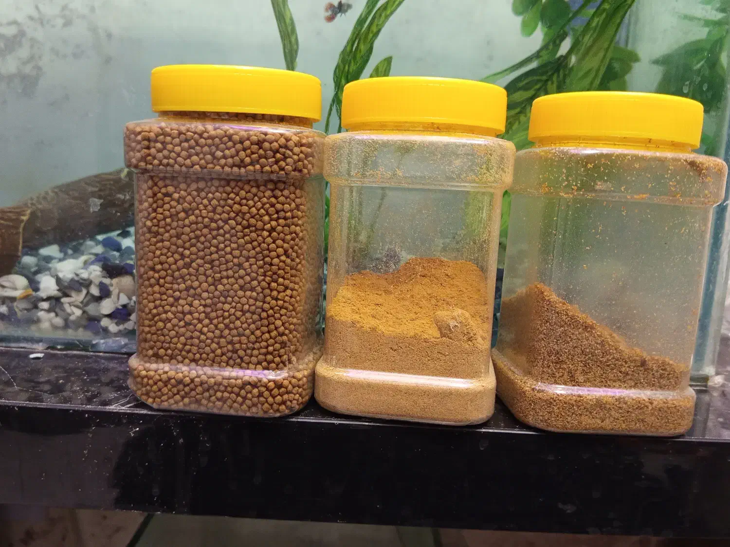 آکواریم با تمام تجهیزات اکوسیستم فعال|ماهی|فردیس, طالقانی|دیوار