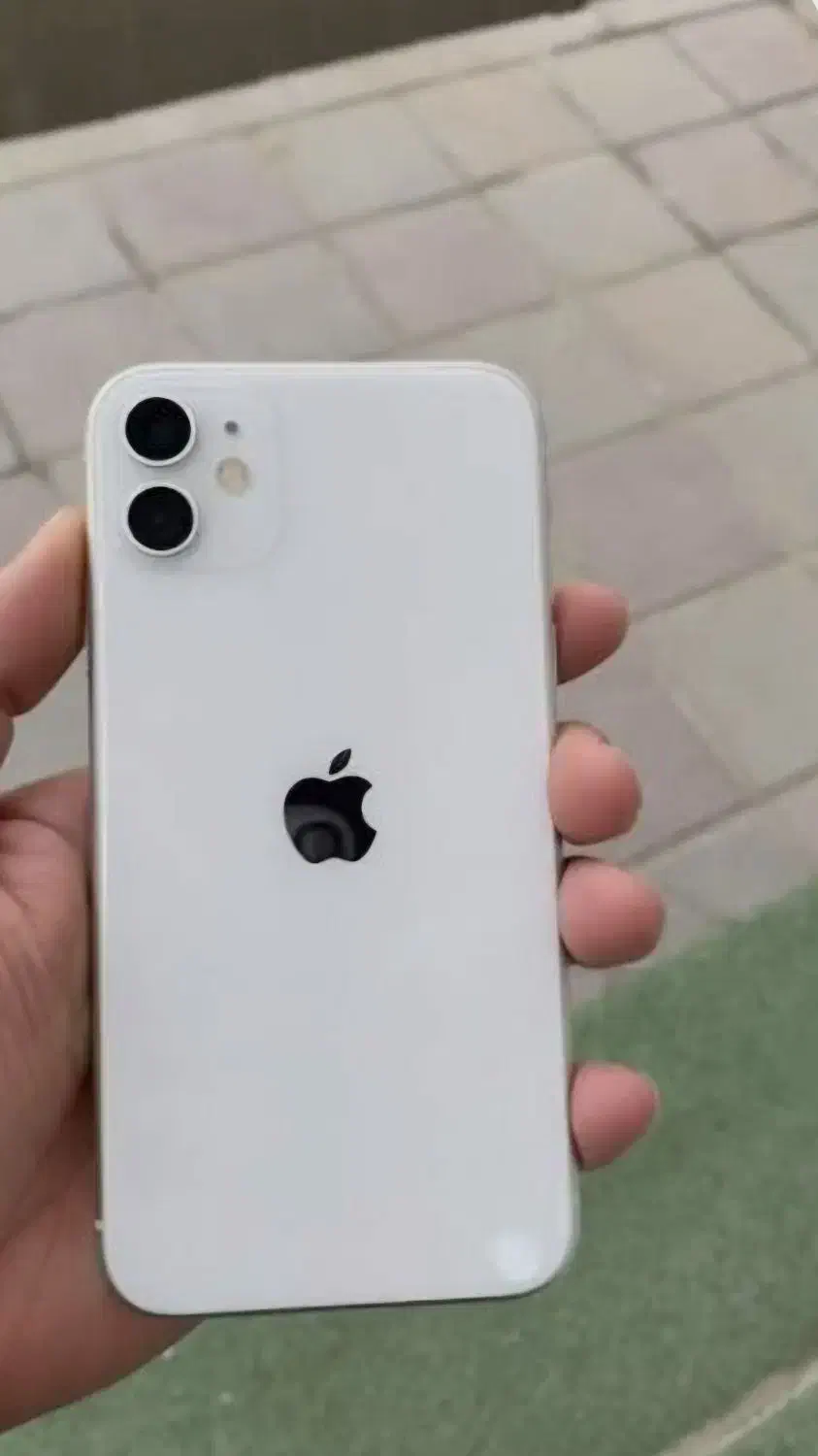 آیفون Iphone 11 (اقساط 3 درصد بدون چک)|موبایل|مشهد, دانشجو|دیوار