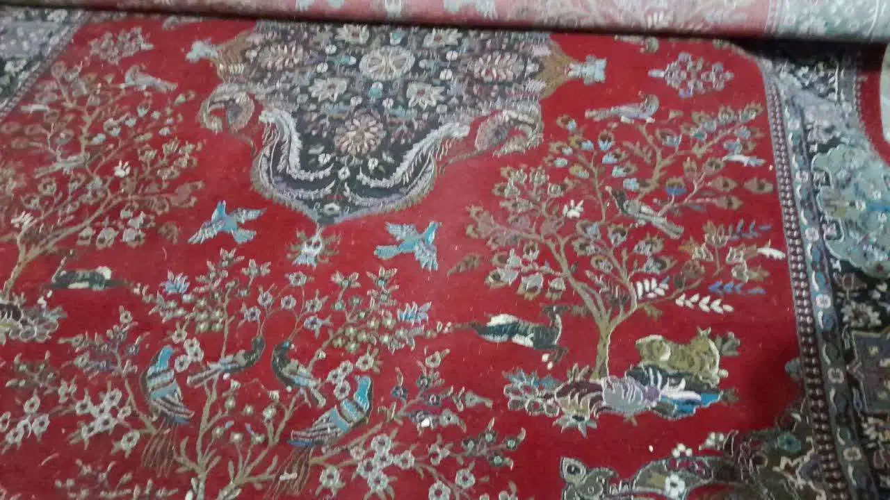 فرش ۱۲ متری|فرش|قائن, |دیوار