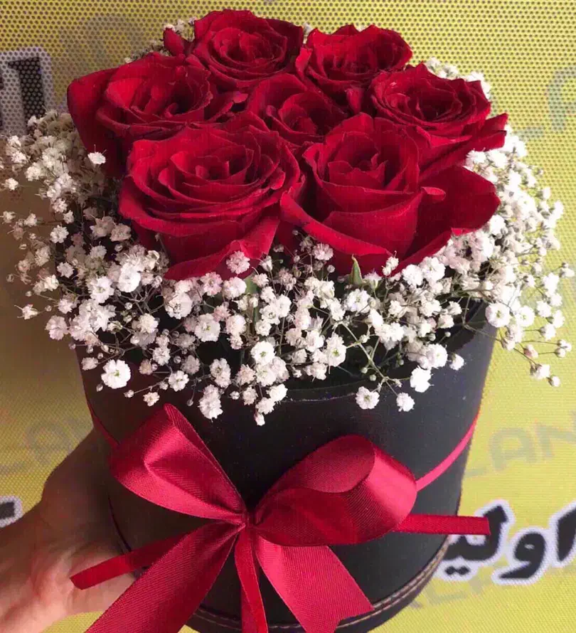 گل طبیعی رز هلندی باکسی فقط شاخه ای ۲۲ تومن|گل و گیاه طبیعی|مشهد, آزادشهر|دیوار