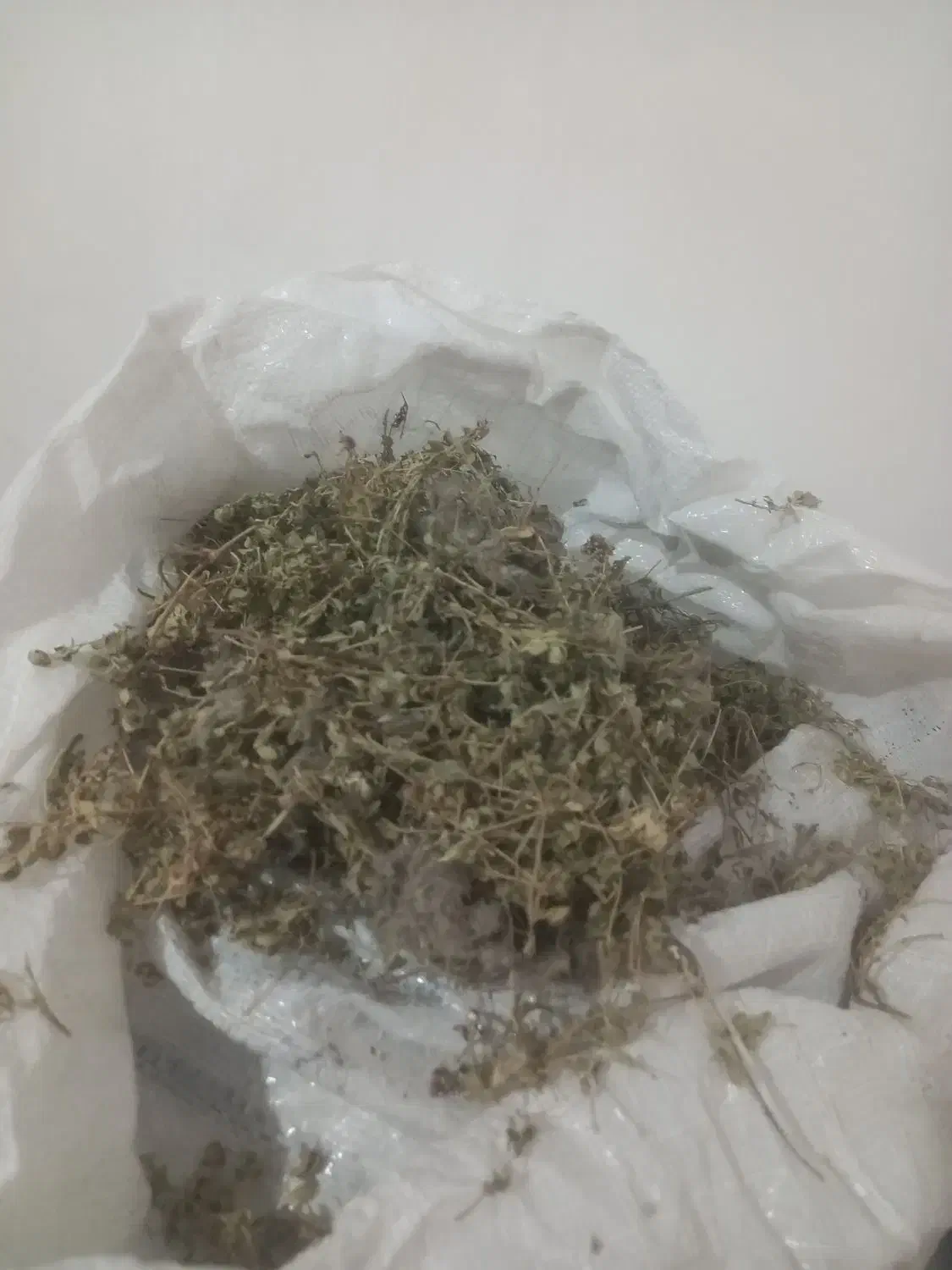 مقداری.اویشنکوهی.برایف.فروش|خوردنی و آشامیدنی|میاندوآب, |دیوار