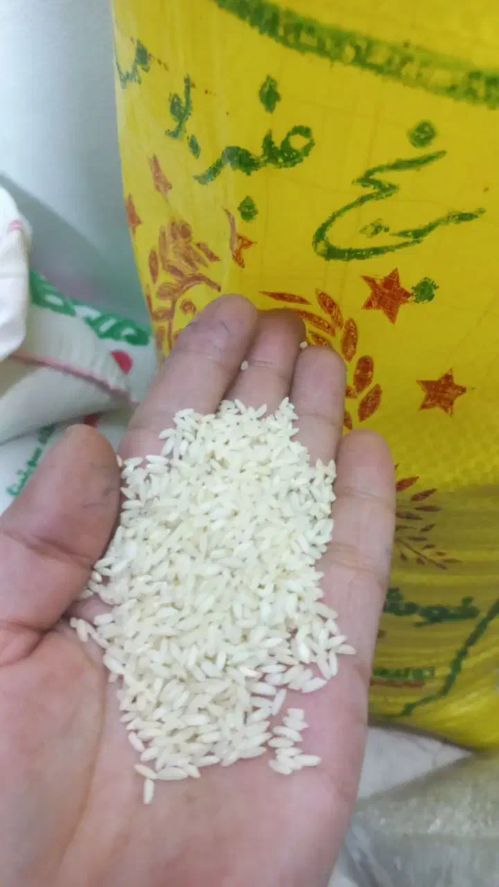 برنج عنبربو|عمده‌فروشی|شهریار, یوسف آباد صیرفی|دیوار