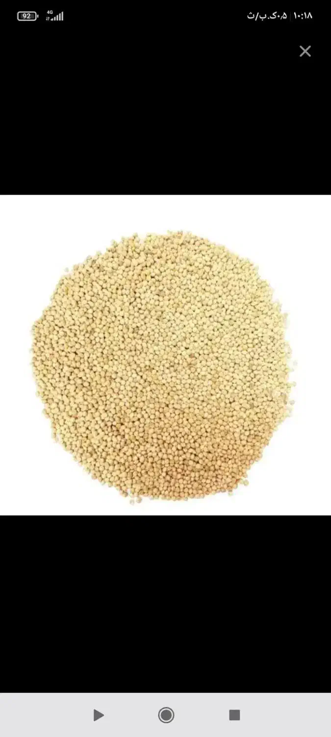 فروش ارزن ،داری|لوازم جانبی حیوانات|هریس, |دیوار