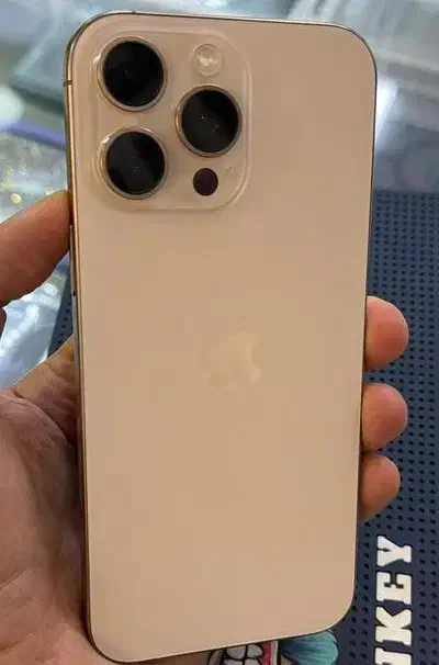 آیفون 16 پرومکس دیزرت 256 گیگ|موبایل|رشت, کاکتوس|دیوار