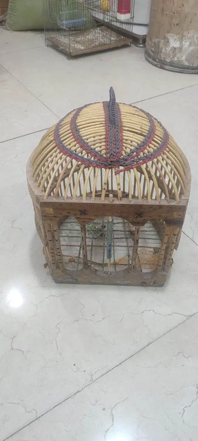 قفس کبک|لوازم جانبی حیوانات|مشکین‌دشت, |دیوار