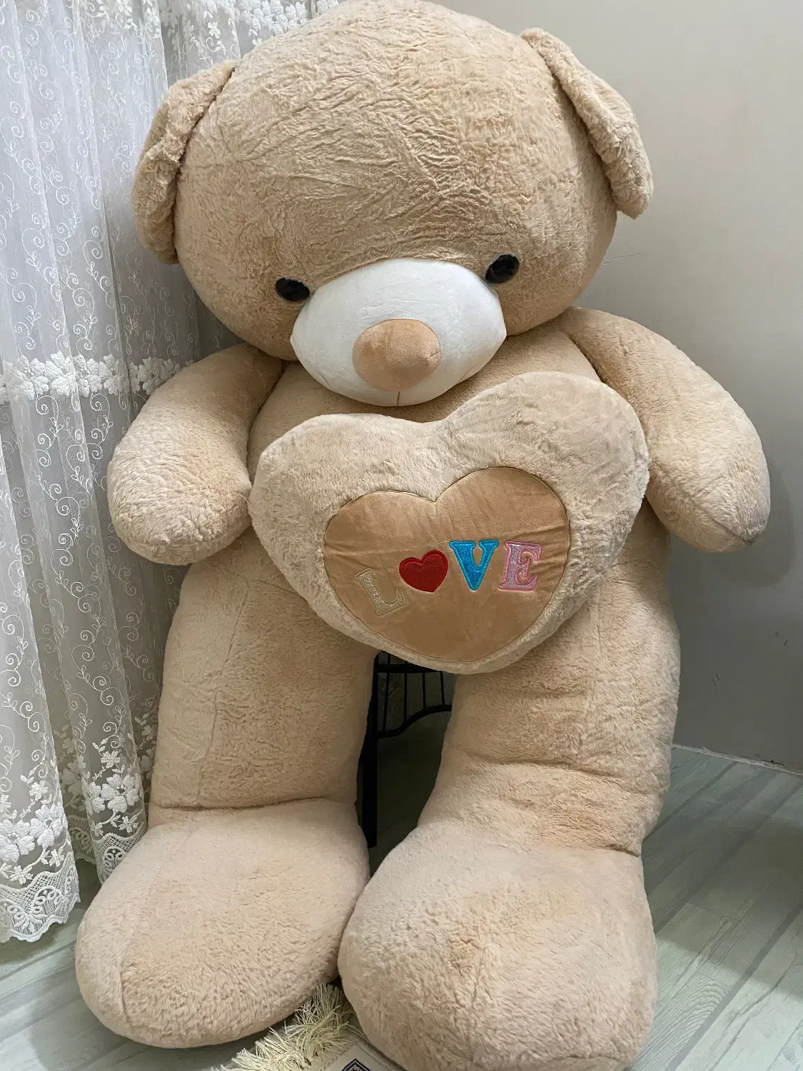 خرس|کلکسیون و سرگرمی|سبزوار, هویزه|دیوار