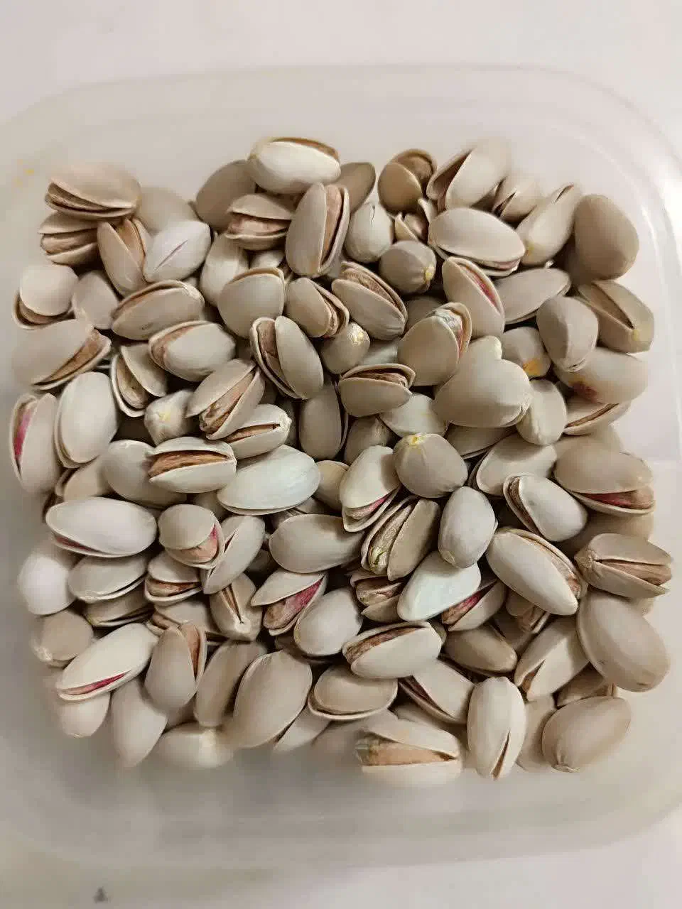 پسته اعلاء اکبری|خوردنی و آشامیدنی|نطنز, |دیوار