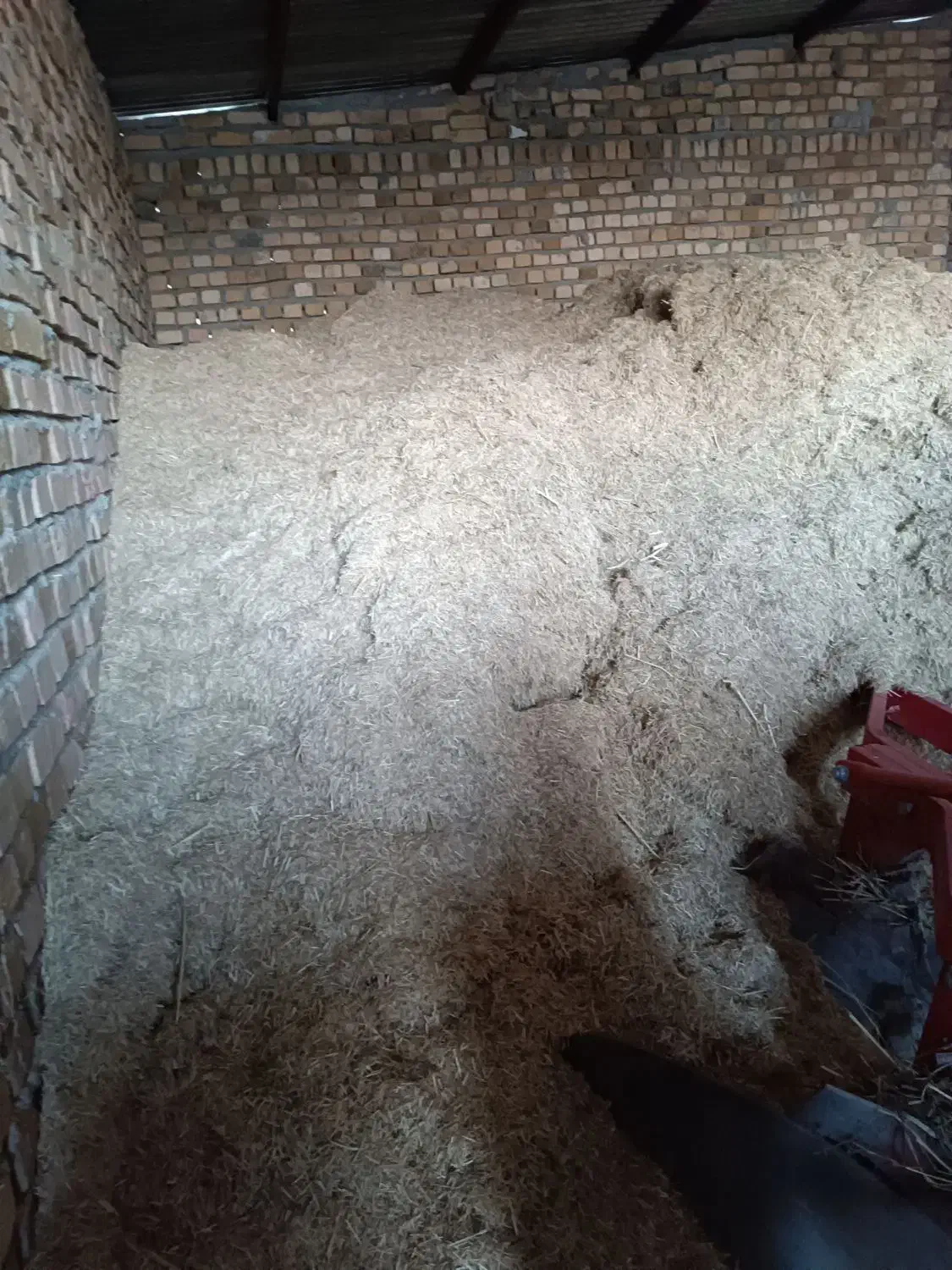 کاه برنج|لوازم جانبی حیوانات|سیلاخور, |دیوار