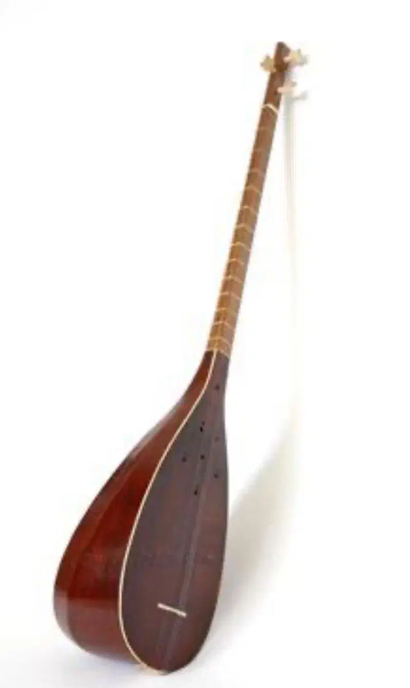 چاشانن سه‌تار ، تنبور ، دیوان باغلاما|سازهای سنتی|بیجار, |دیوار