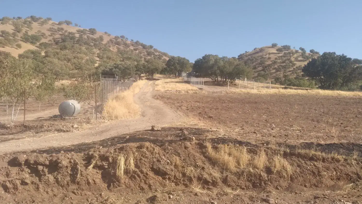 زمین|فروش زمین و ملک کلنگی|جوانرود, |دیوار