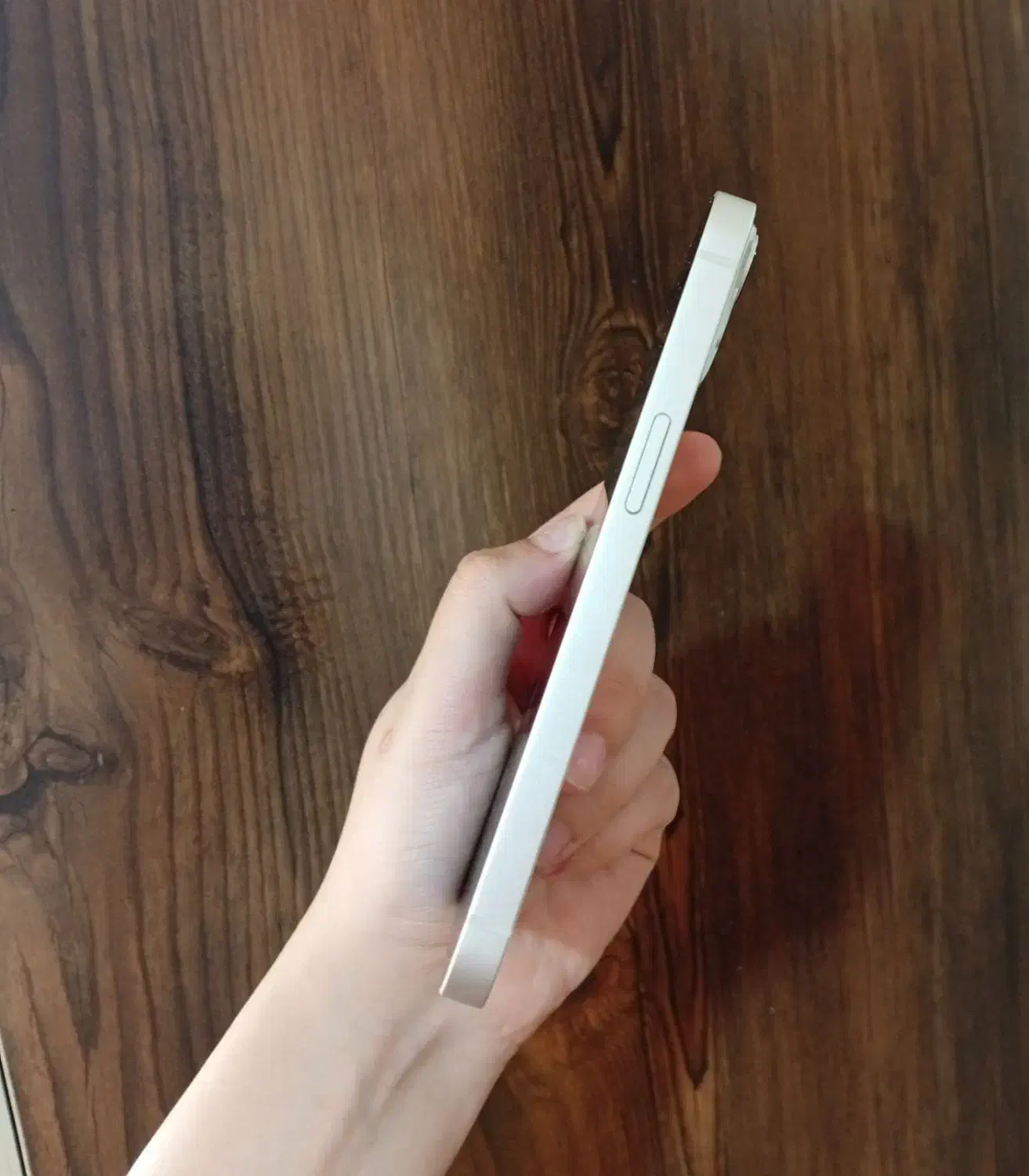 آیفون ۱۳ نرمال|موبایل|رامسر, |دیوار