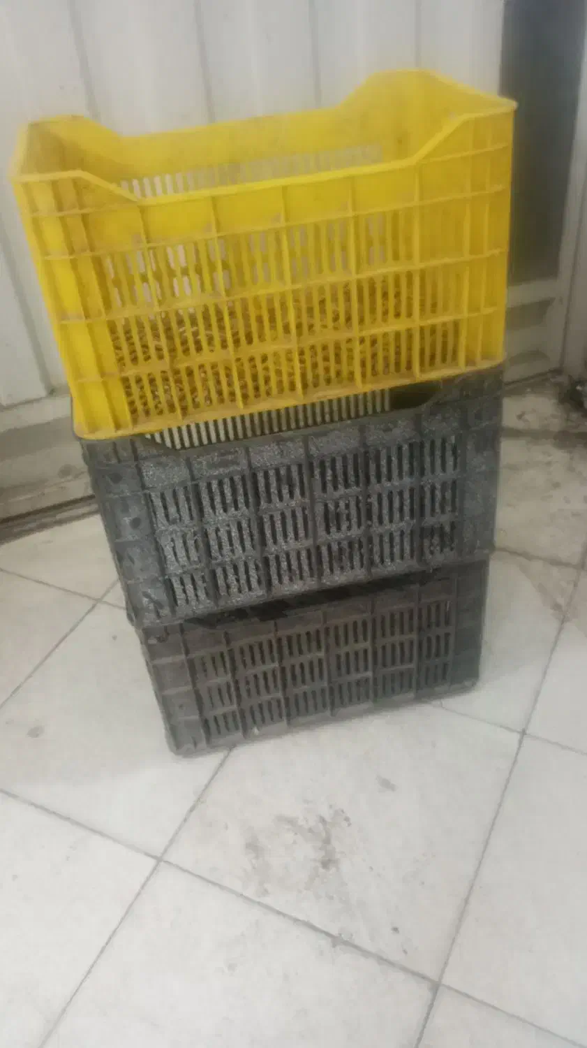 سبد بزرگ|ظروف نگهدارنده، پلاستیکی، یک‌بارمصرف|یزد, |دیوار