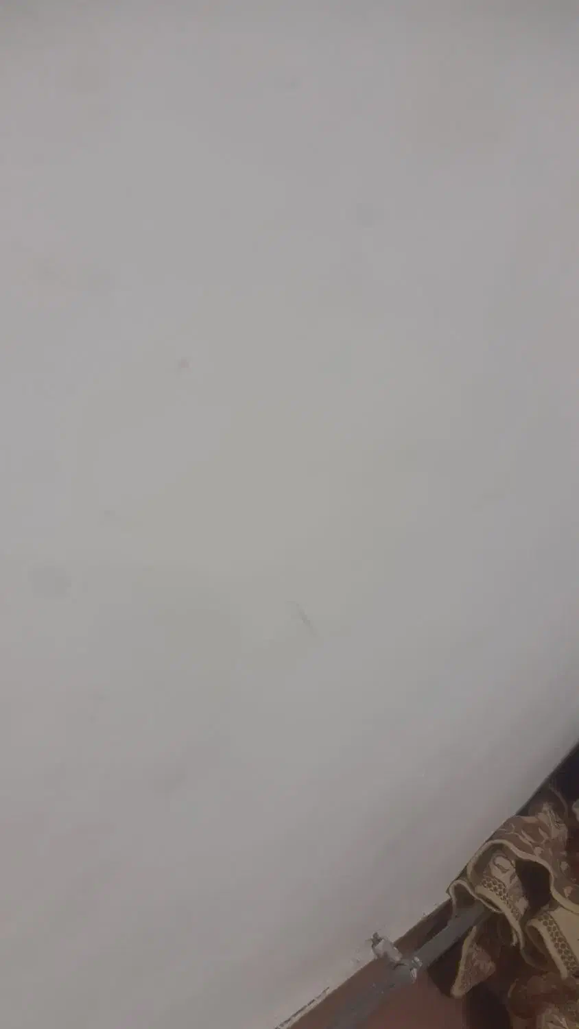 سمند مدل ۸۱ رنگ مشکی|خودرو سواری و وانت|میاندوآب, |دیوار