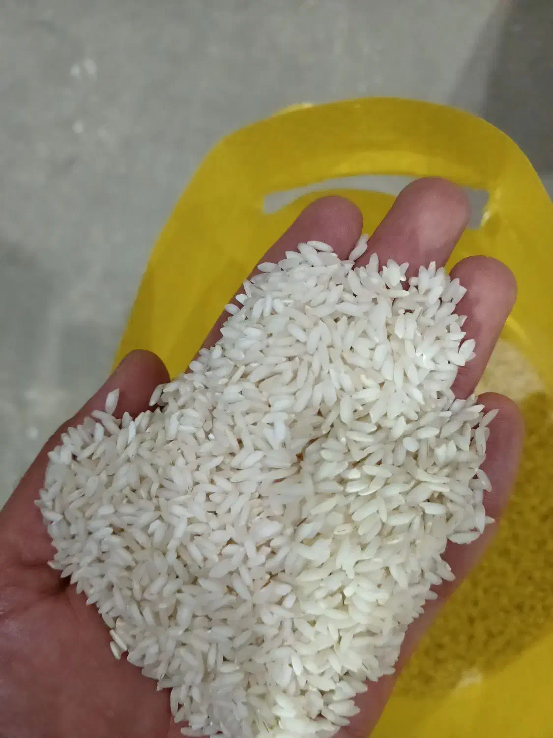 برنج عنبربو|خوردنی و آشامیدنی|شادگان, |دیوار