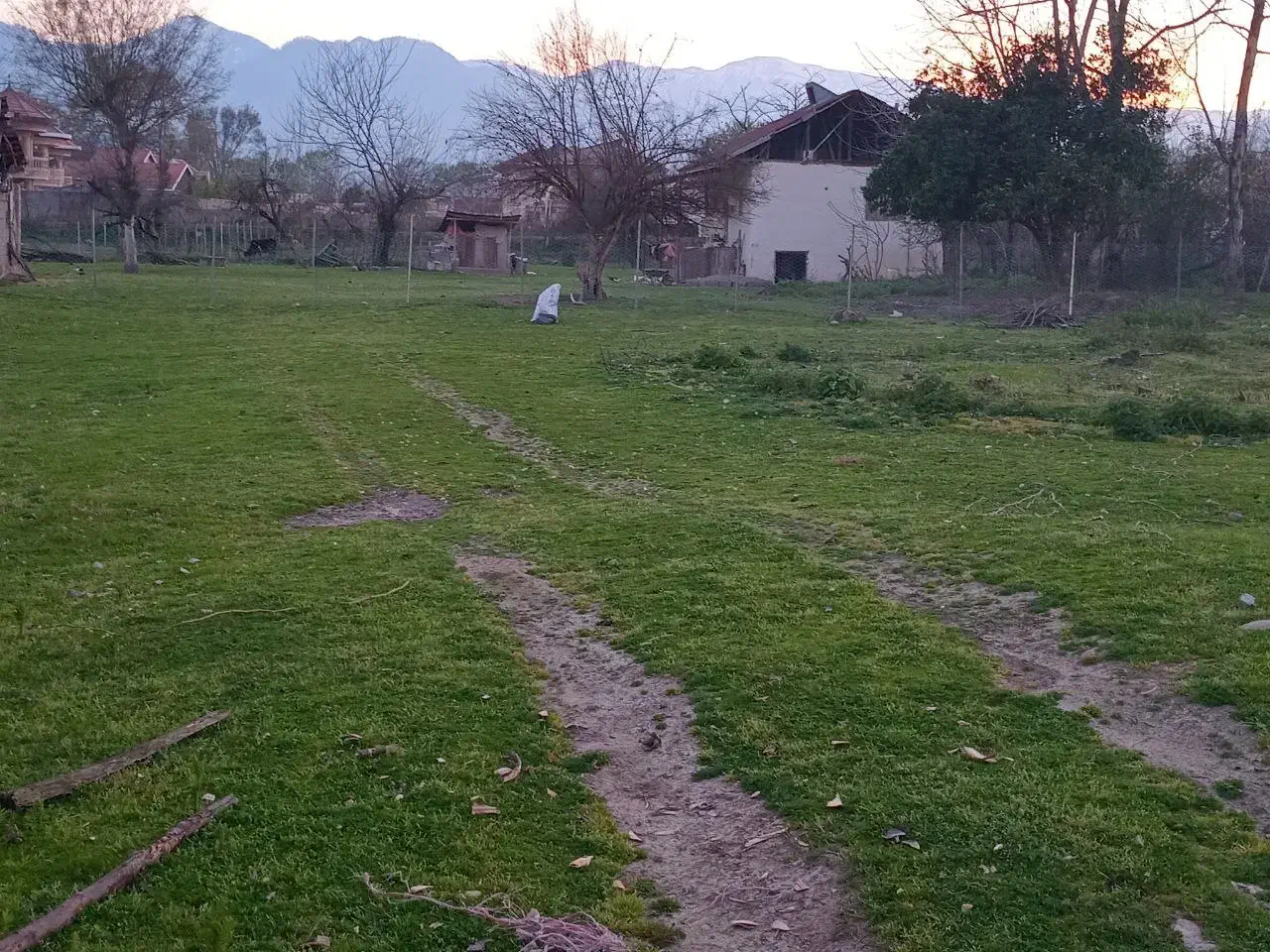 فروش فوری ۱۰۰۰متر تمام مسکونی|فروش زمین و ملک کلنگی|ماکلوان, |دیوار