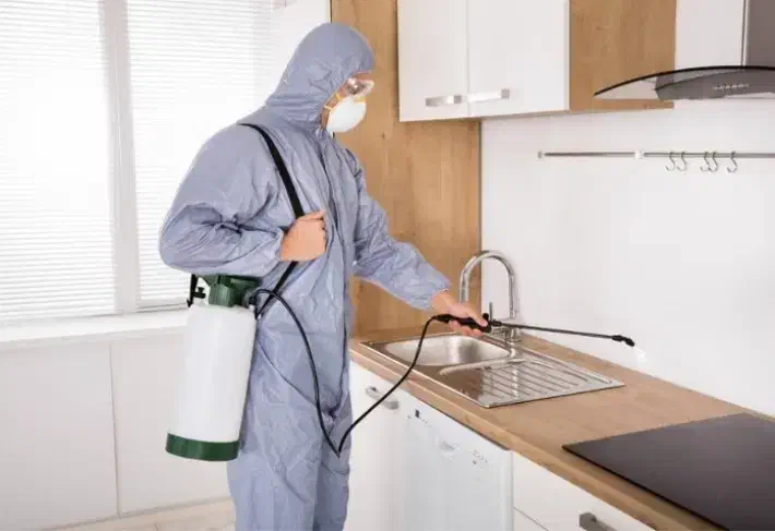 سمپاشی|خدمات نظافت|خرمآباد, |دیوار