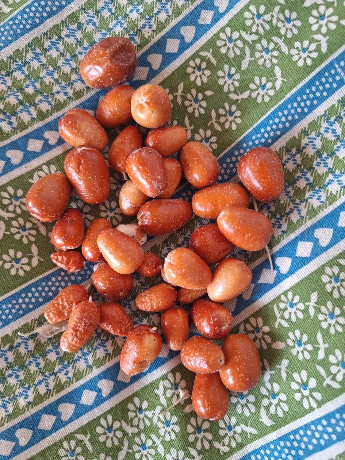 سنجد|خوردنی و آشامیدنی|بهار, |دیوار