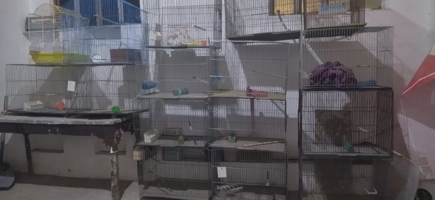 قفس جفت کن|لوازم جانبی حیوانات|قم, جمکران|دیوار