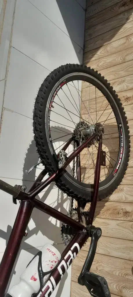 چرخ ۲۴ آلبالویی|دوچرخه، اسکیت، اسکوتر|اصفهان, سرشبادران|دیوار