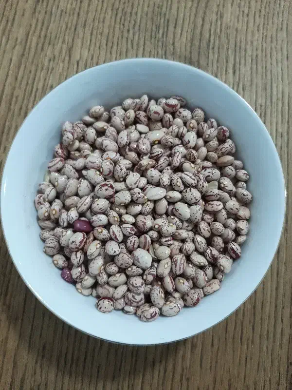 لوبیا چیتی|خوردنی و آشامیدنی|شیراز, زرهی|دیوار