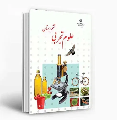 استخدام اموزگار پایه ی ششم|استخدام آموزشی|شیراز, دانشگاه شیراز|دیوار