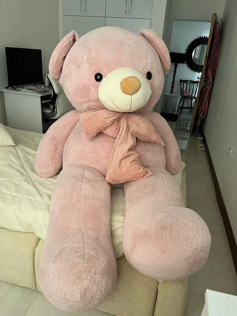 بزرگترین سایز عروسک خرسی|اسباب‌بازی بچه|هشتگرد, فاز ۲ مهستان|دیوار