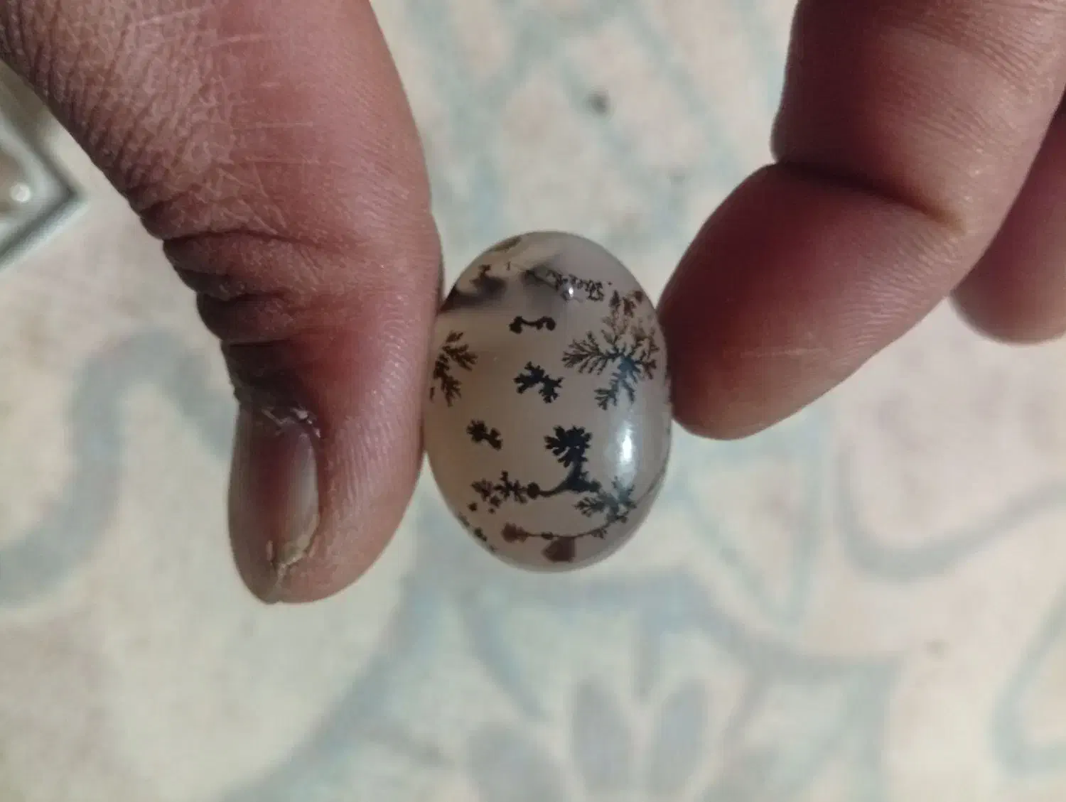 شجر|جواهرات|کرمان, |دیوار