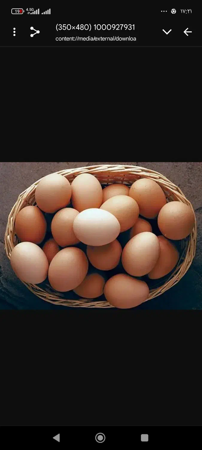 تخم مرغ محلی و ارگانیک|خوردنی و آشامیدنی|نهاوند, |دیوار