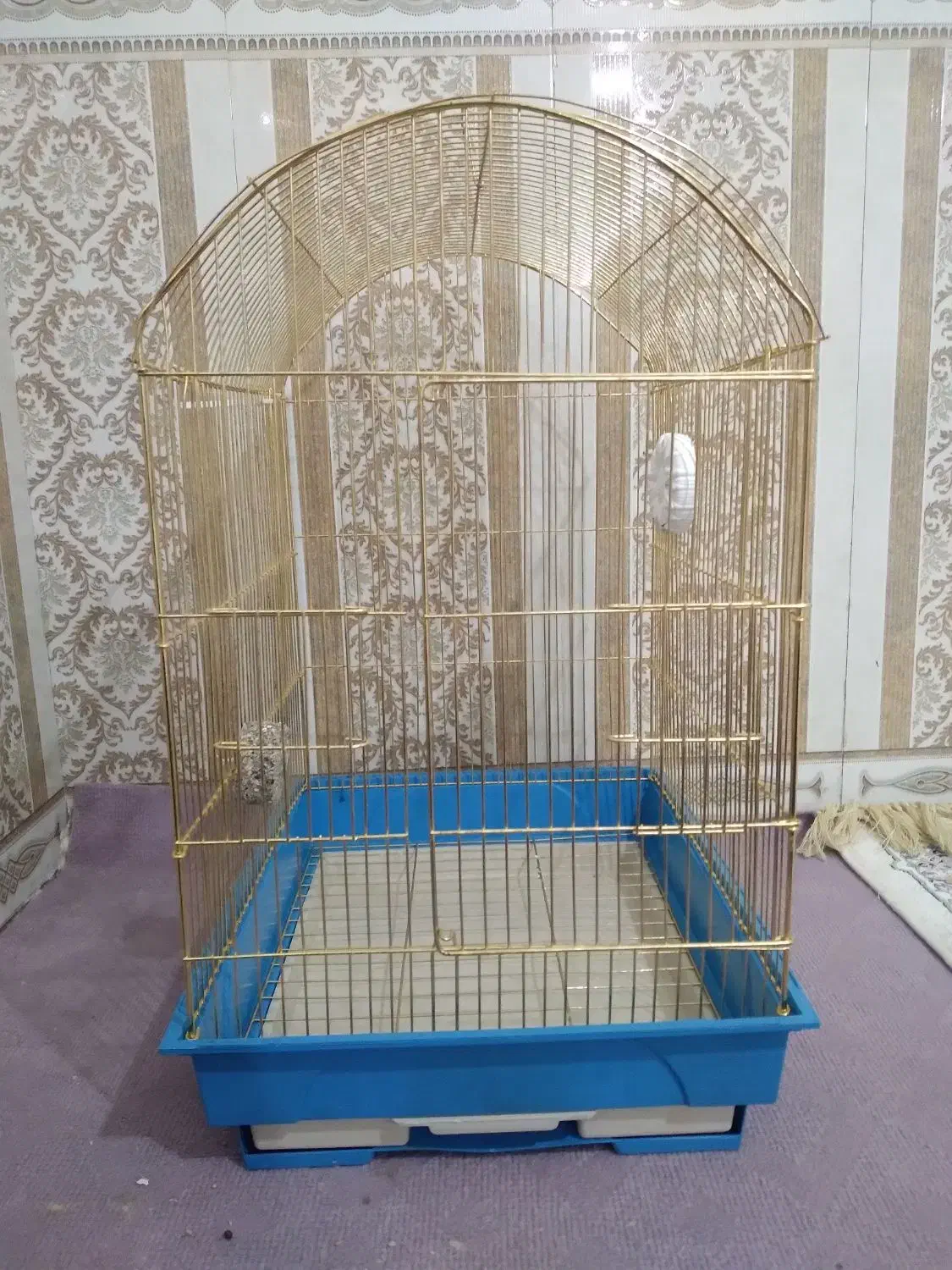 قفس|لوازم جانبی حیوانات|خرم‌آباد, |دیوار