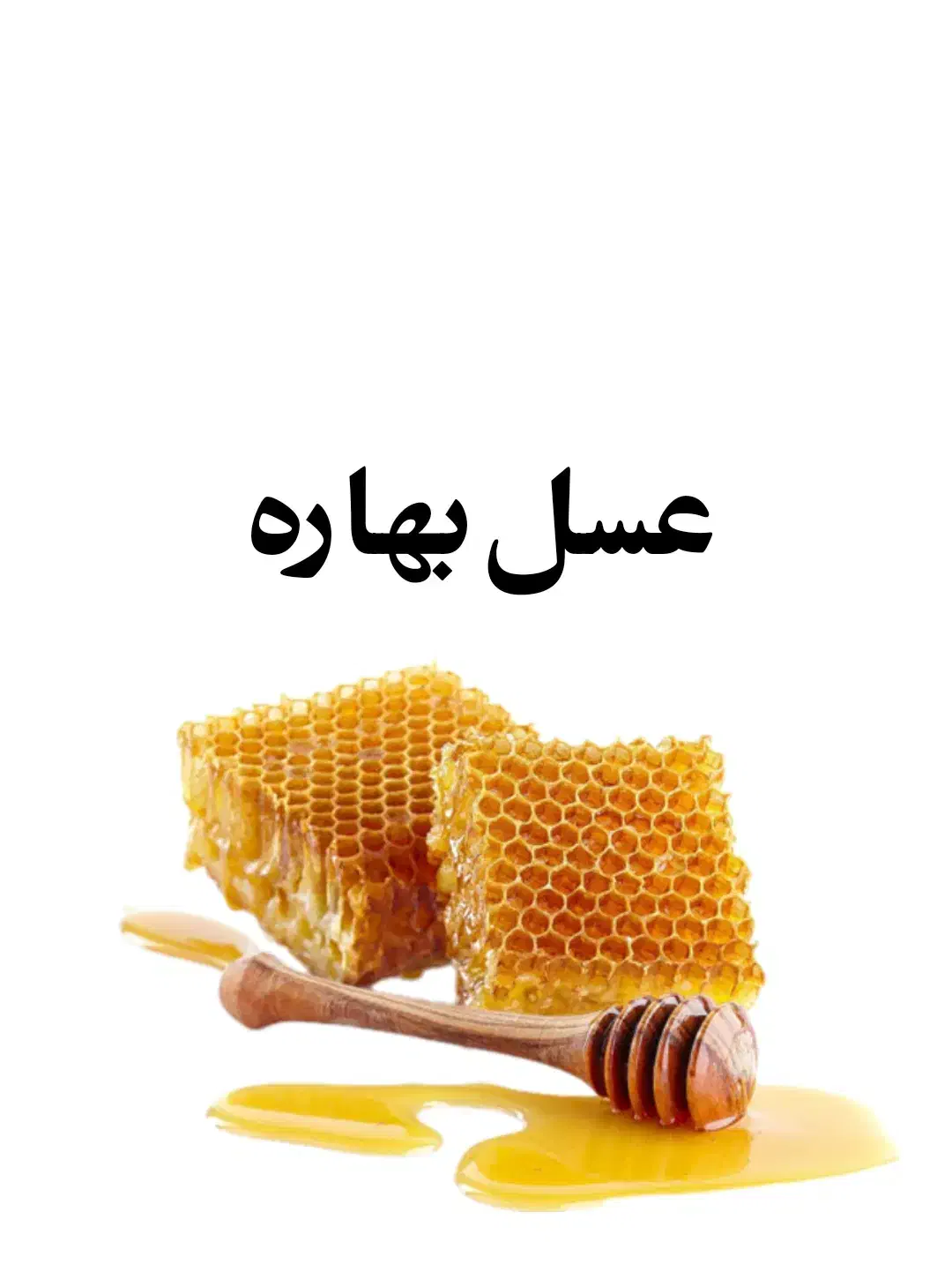عسل بهاره|خوردنی و آشامیدنی|قم, شهرک شهرداری|دیوار