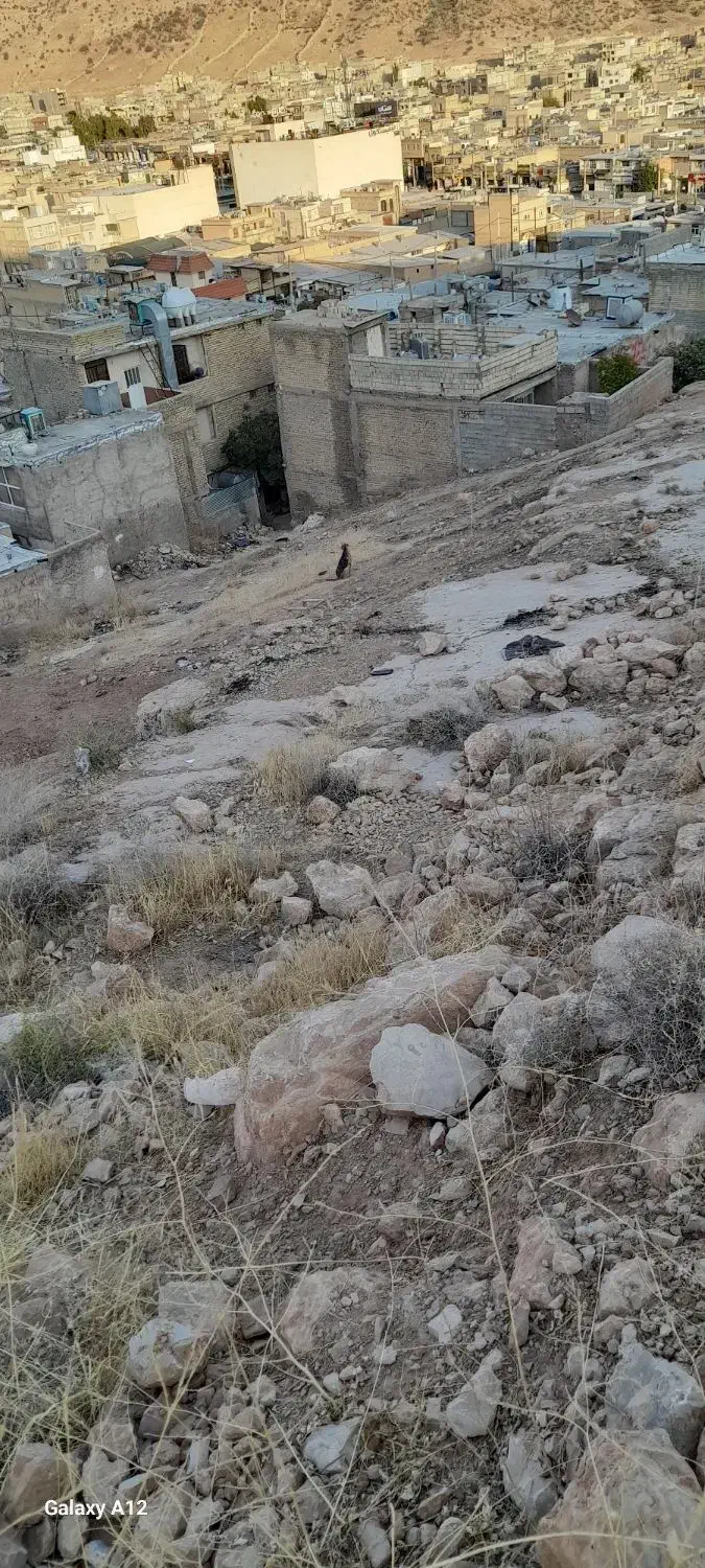 زمین کوچه ۸۰|فروش زمین و ملک کلنگی|شیراز, شهرک سعدی|دیوار