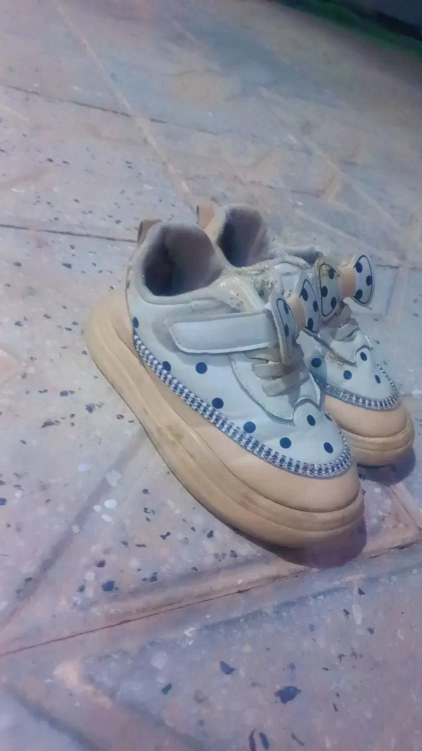 کفش|کیف، کفش، کمربند|تربت جام, بیست متری منبع آب|دیوار