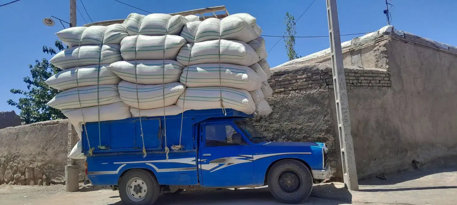 کاه گندم|لوازم جانبی حیوانات|خوشاب, |دیوار